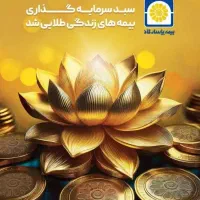 خدمات بیمه آنلاین انی بدون وقفه نقد اقساط|خدمات مالی، حسابداری، بیمه|سمنان, |دیوار