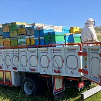 حمل بار خاور ایسوزو|خدمات حمل و نقل|بجنورد, |دیوار