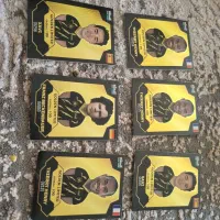 ۶عدد کیمدی گلدن طلایی