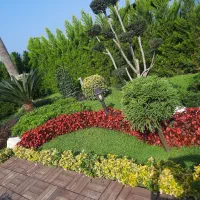 اجرا و طراحی فضای سبز بصورت حرفه ای