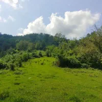 ۱۲۰۰مترزمین کامل مسکونی در دل جنگل