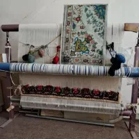 فروش دارقالی