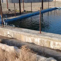 زمین کشاورزی ۸۰۰ متری