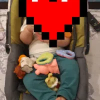 کریر سبز طوسی با سایبان