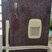 یخچال درحدنو