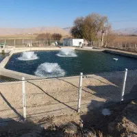 نیازمند کارگر پرورش ماهی