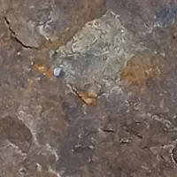 شهاب سنگ|کلکسیون اشیاء عتیقه|یاسوج, |دیوار