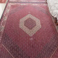 فرش|فرش|زنجان, |دیوار
