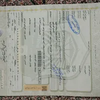 وانت نیسان|خودرو سواری و وانت|اردبیل, |دیوار