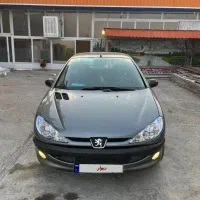 ۲۰۶ تیپ ۲ یک کاپوت رنگ جهت زیبایی