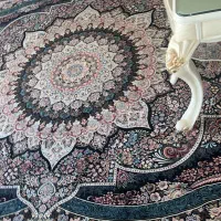 فرش ۱۲ متری در حد نو