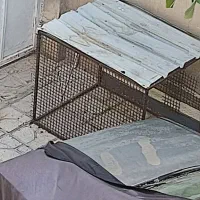 قفس پرنده