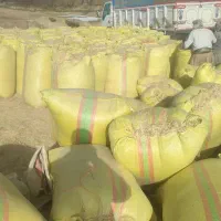 کاه درجه یک نرم ودرشت ارسال از کردستان|عمدهفروشی|آمل, |دیوار