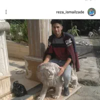 کاشی کاری سنگ سرامیک سیمان کاری پله