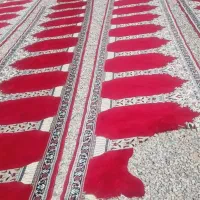 قالیشویی ومبل شویی حافظ