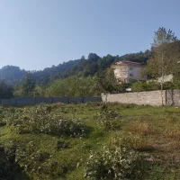 بام پیرهرات سندتک برگ با پروانه عروسک