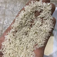 برنج فجر سوزنی ارزان