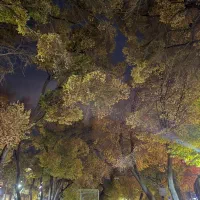 فروش فوری مسکونی شمالی جنوبی