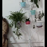 استندگل