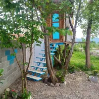 کلبه چوبی درختی عشق