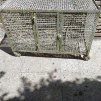 قفس کبوتر مرغ بوقلمون