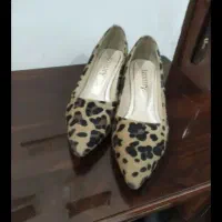 کفش مجلسی و اسپرت نو نو|کیف، کفش، کمربند|کرج, کوی مدرس|دیوار