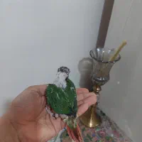 جوجه گیرینچیک|پرنده|کرج, عظیمیه|دیوار