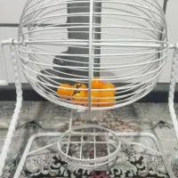 گردونه برای قرعهکشی بدون هر گونه استفاده