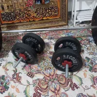 دوعدد دمبل مارک رکورد نونو اهنی ۲۰ کیلویی|تجهیزات ورزشی|هشتگرد, هشتگرد قدیم|دیوار