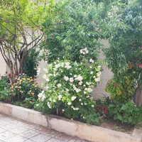 ویلایی۷۵۰متری/ بهترین لوکیشن فرشته /دوطبقه دوبلکس/|فروش خانه و ویلا|مشهد, کوثر|دیوار