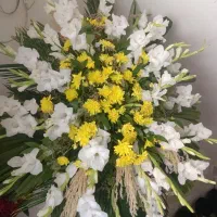دسته گل سالم و شاداب مفت فقط ۲۵۰۰
