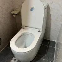 توالت فرنگی ایسانیس با درب خارجی