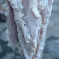 بارساخ گاو و گوسفند و غیره