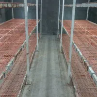 فروش وسایل سالن قارچ وگلخانه|ماشین‌آلات صنعتی|جهرم, |دیوار