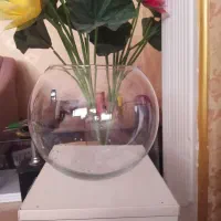 تنگ و گلدان  با قیمت مناسب