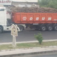 قطع نخل و درخت با خرید چوب درخت|خدمات باغبانی و درختکاری|بندر دیر, |دیوار