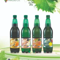 استخدام ویزیتور