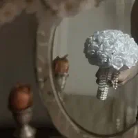 گل های شیک و زیبا|گل و گیاه طبیعی|مرند, |دیوار