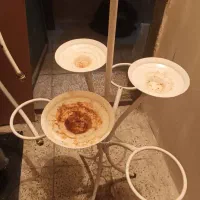 پایه گلدانی