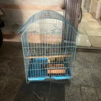 قفس شاه توتی بزرگ