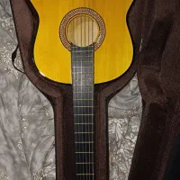 گیتار دیاموند ۴/۴  آرم رست دار