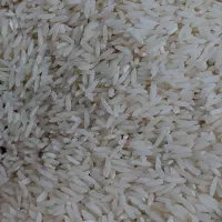 برنج طارم هاشمی
