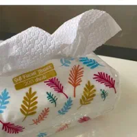 دستمال کاغذی وینت