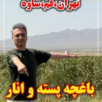 فروش باغ و باغچه|فروش دفتر صنعتی، کشاورزی، تجاری|قم, سالاریه|دیوار
