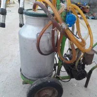 شیردوش گاو کاملاسالم