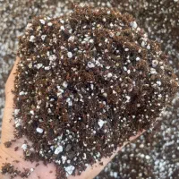 بستر کشت حرفه‌ای گیاهان آپارتمانی و صیفی‌جات