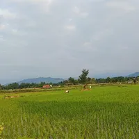 از رشت به کاشان فردا صبح