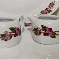 ظروف غذاخوری و فنجان چایی خوری شیک (ژاپن)|ظروف سرو و پذیرایی|نیشابور, مدرس|دیوار