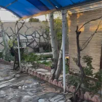 باغچه داخل بافت با نامه جهاد و سند|فروش زمین و ملک کلنگی|شاهدشهر, |دیوار