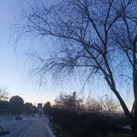 سفیران مهربانی فولادشهر
